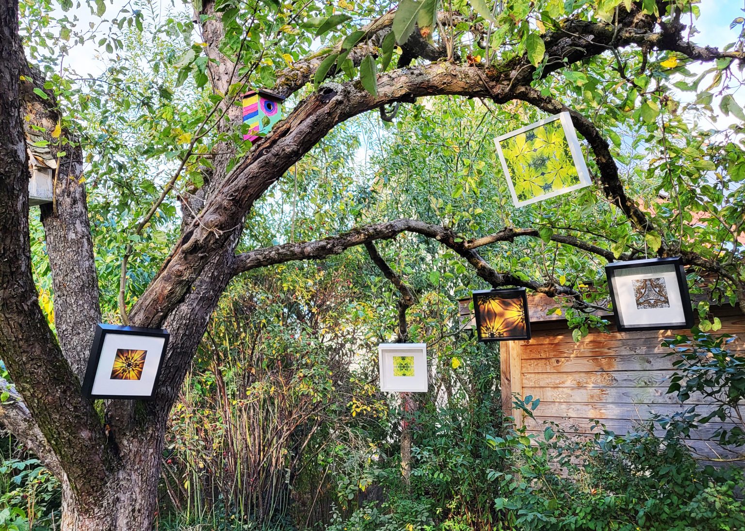 "ImpressionPattern-Lichtblicke" leuchten von oben herab